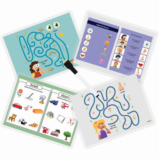 5 Senses sorting Activity Games