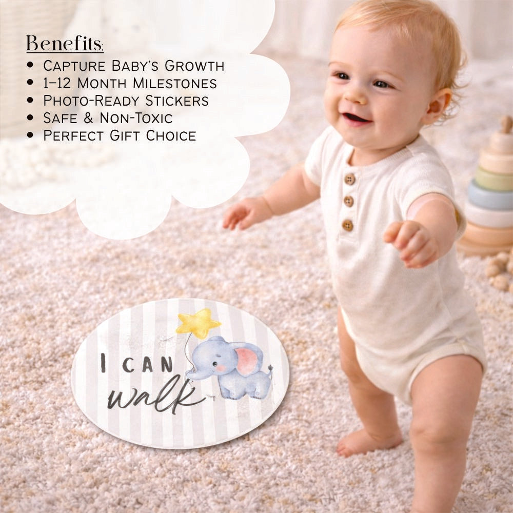 Baby Milestone Stickers - Pack of 24 (Multicolour)