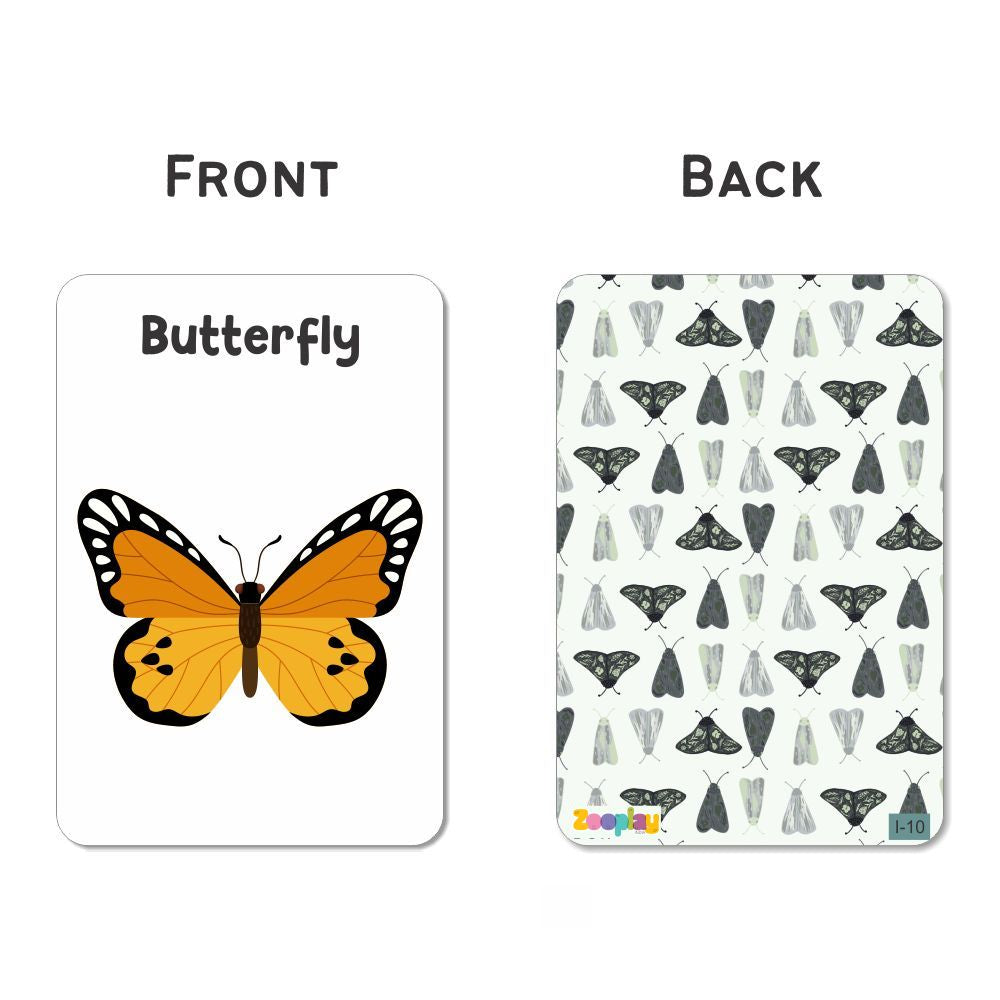 Insect Flash Cards- Pack of 24
