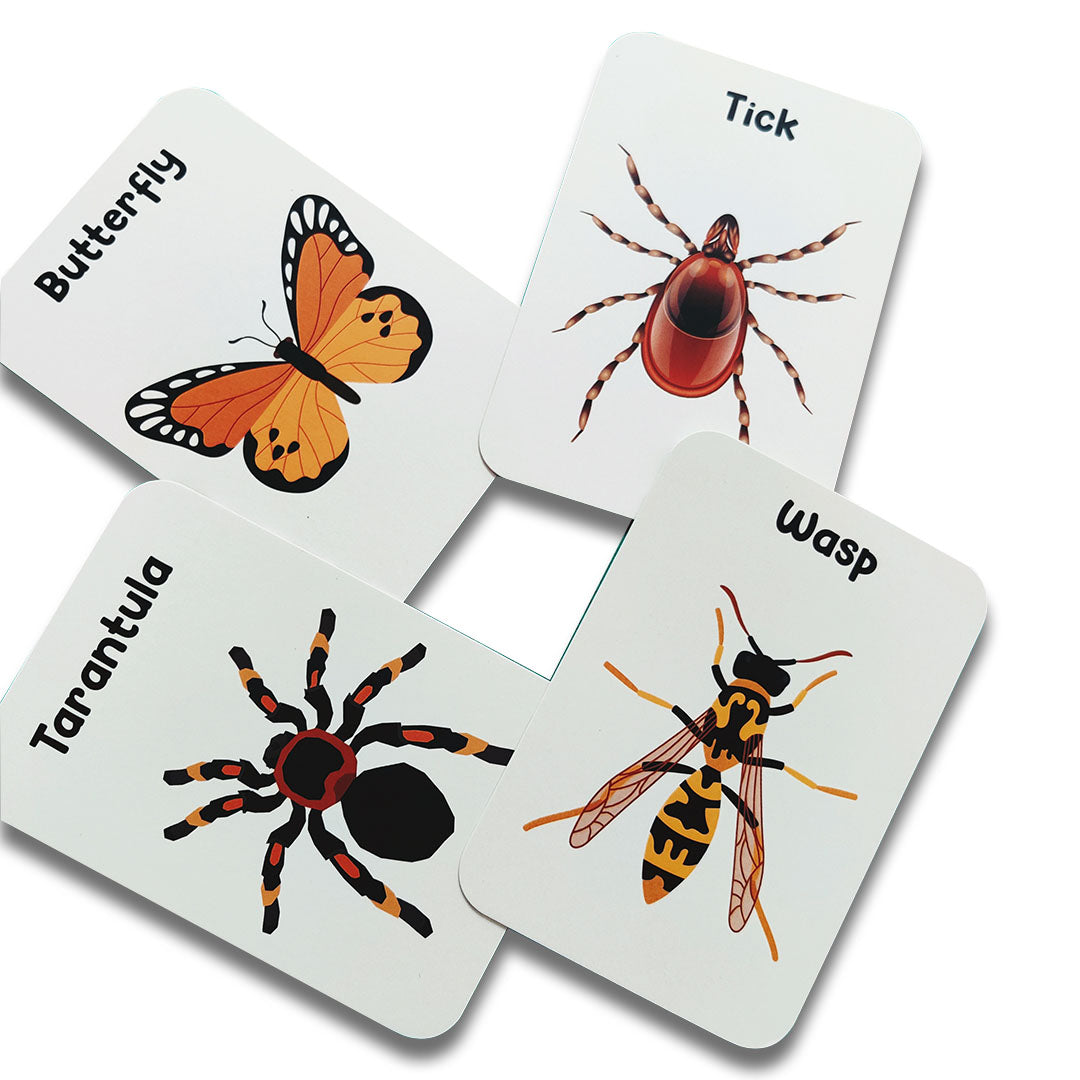Insect Flash Cards- Pack of 24