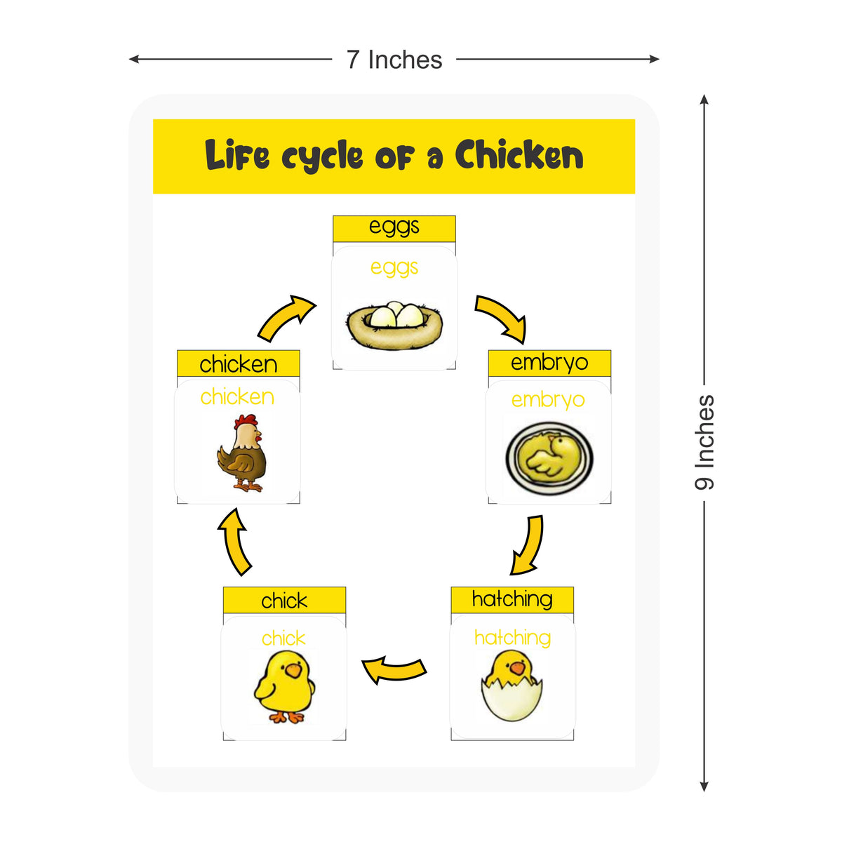 4 lifecycle activity